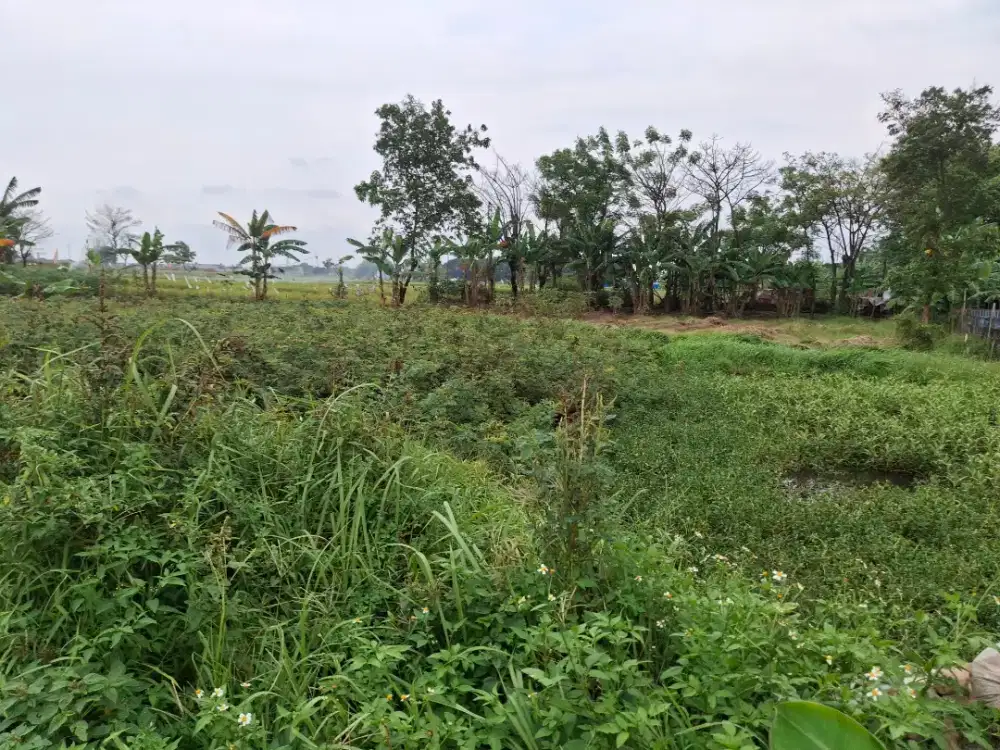 Dijual Tanah strategis pinggir jalan, murah,