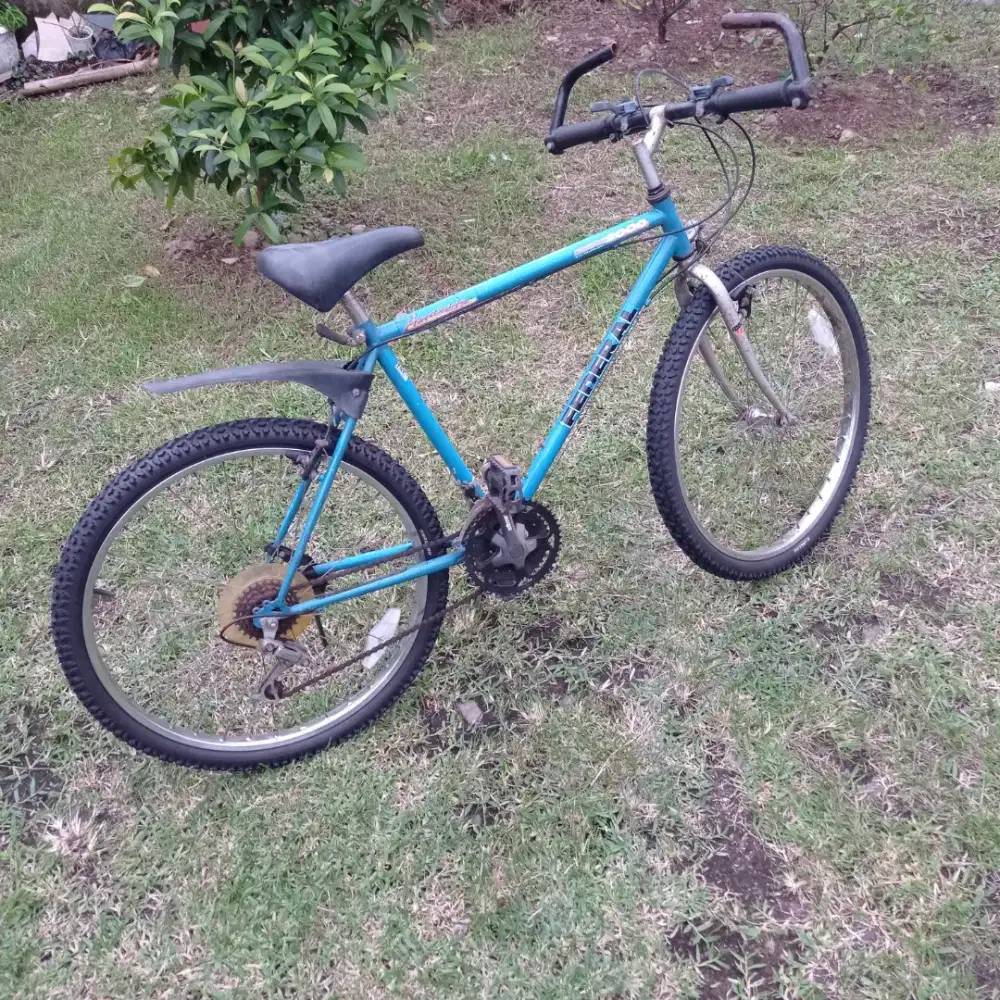 Sepeda Dewasa FEDERAL