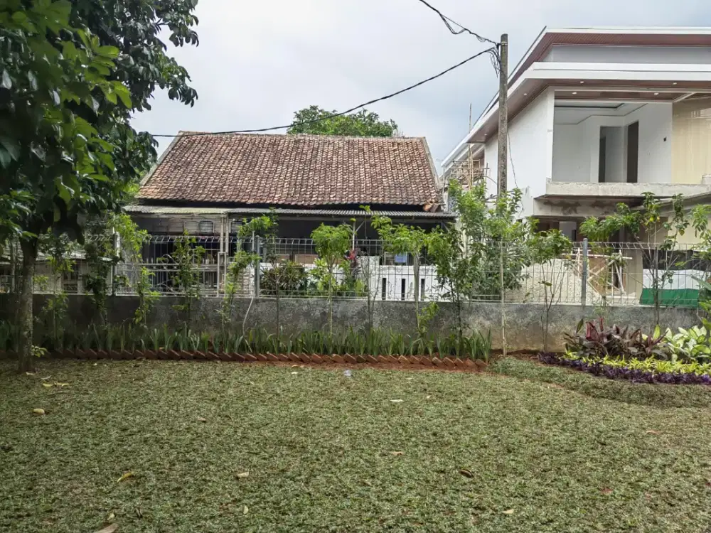 Tukang rumput taman//jasa taman bogor