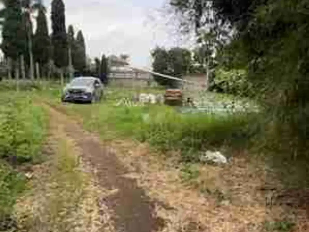 Tanah Cigugur girang parongpong muraah