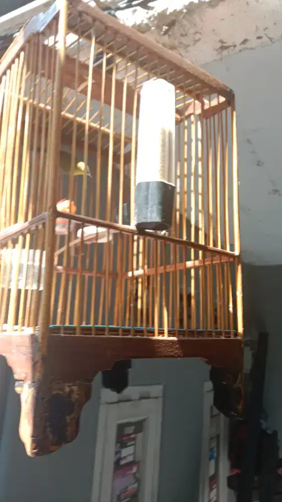 Dimurahin aza burung plus kurung