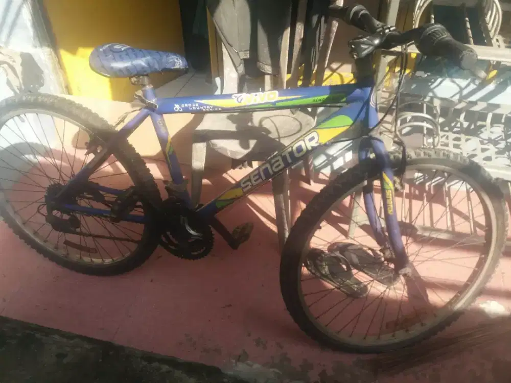 Sepeda senator jual BU