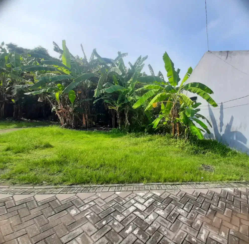 DIJUAL TANAH AREAN SAWOCANGKRING WONOAYU SIDOARJO