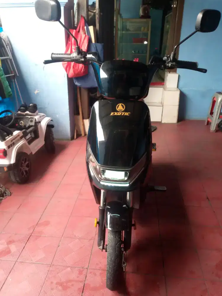 EXOTIC type striger 5.0