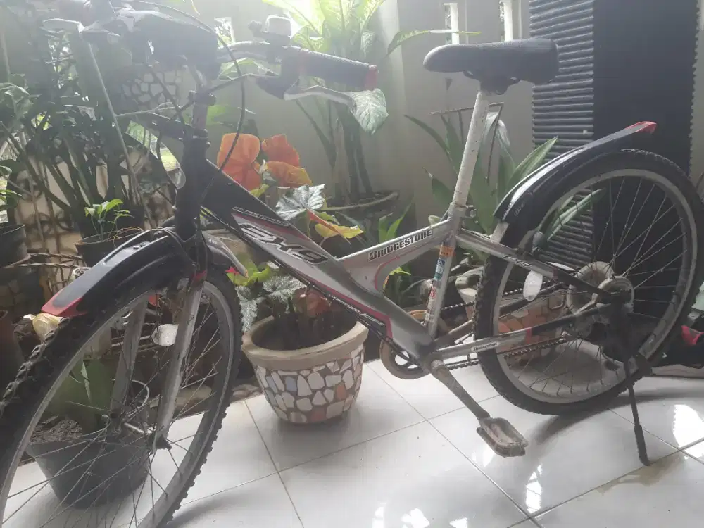 Sepeda merk BRIDGESTONE EX9, asli jepang