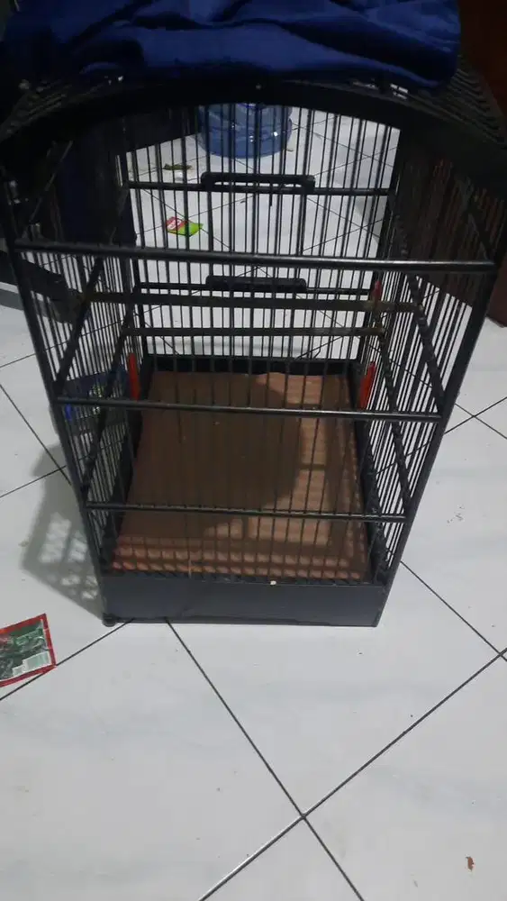 Kandang ebod jaya hitam