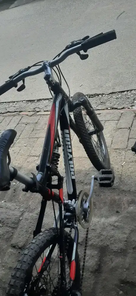 Sepeda gunung polygon 20 inch