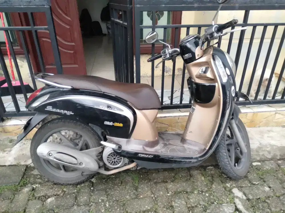 HONDA SCOOPY 2013