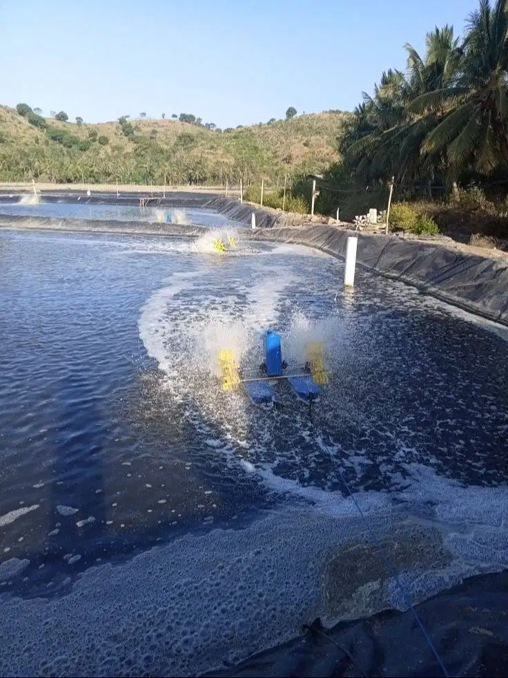 Open Magang Staf Gudang