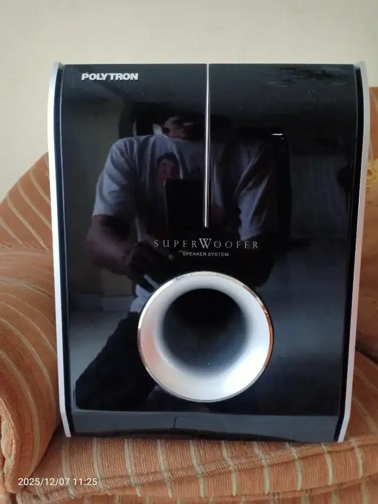 Speaker Subwoofer Pasif Polytron