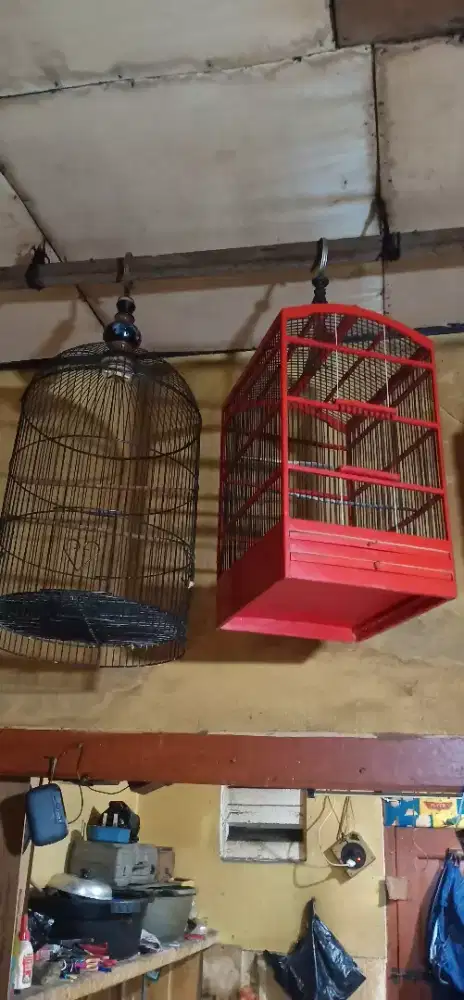 Jual aja fulset kandang burcil dan kandang kerambah