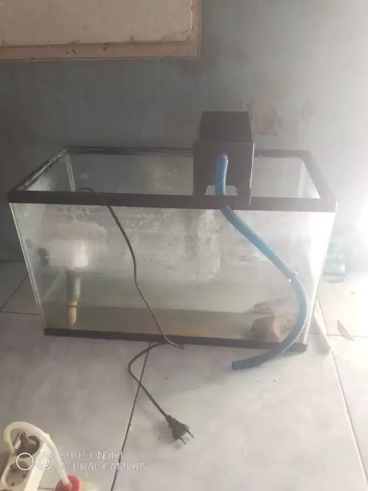 Aquarium akrilik sm mesin di BSD