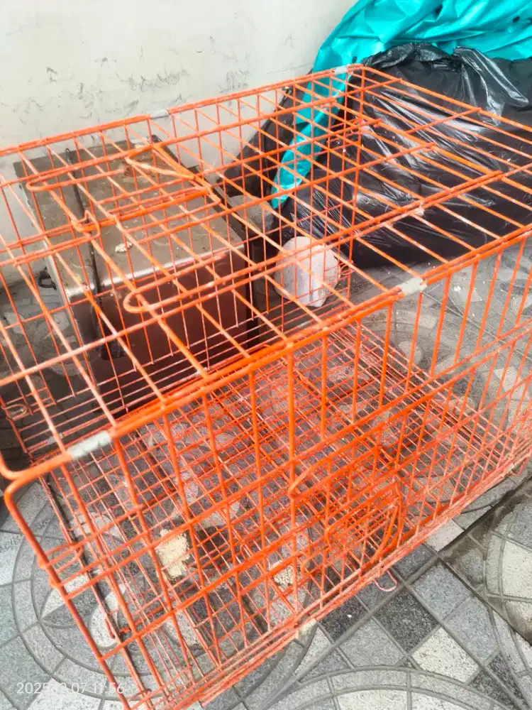 KANDANG KUCING 2 pcs,UK 60x80 dan 100x80