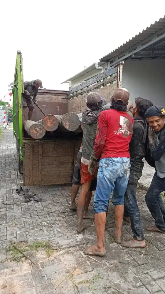 Jual kayu glugu gelondong