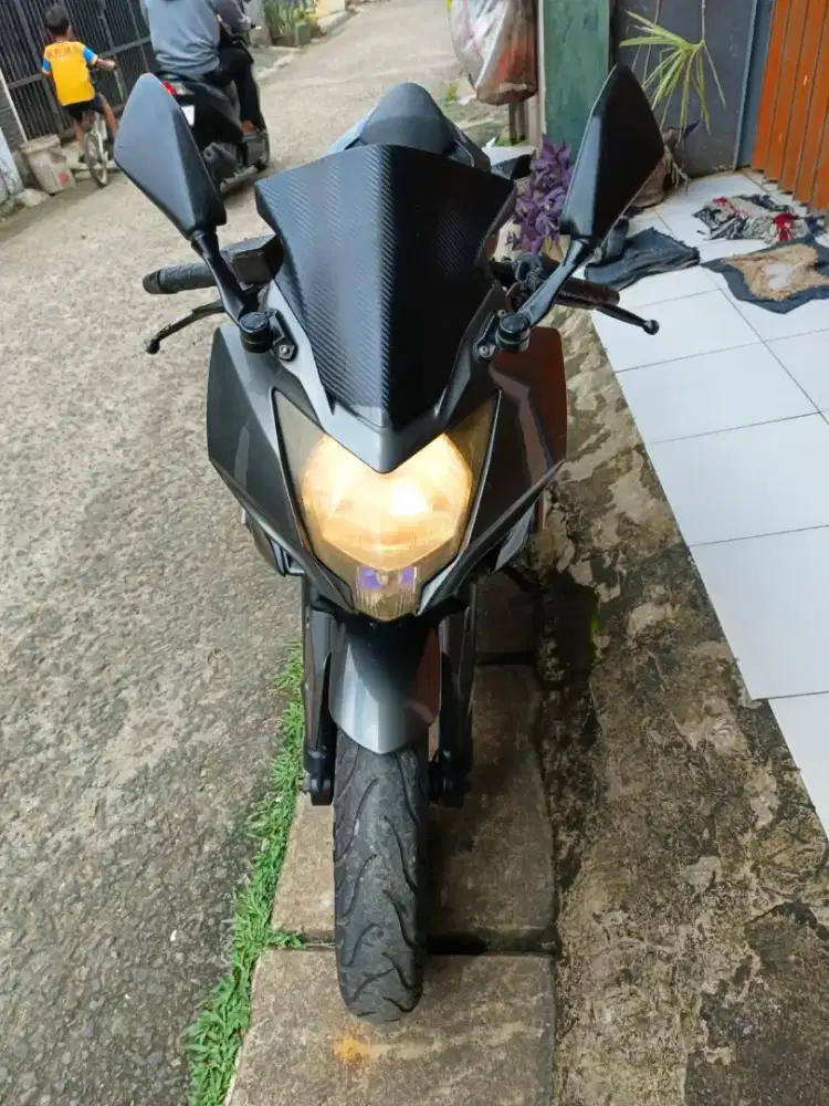 Kawasaki ninja 250