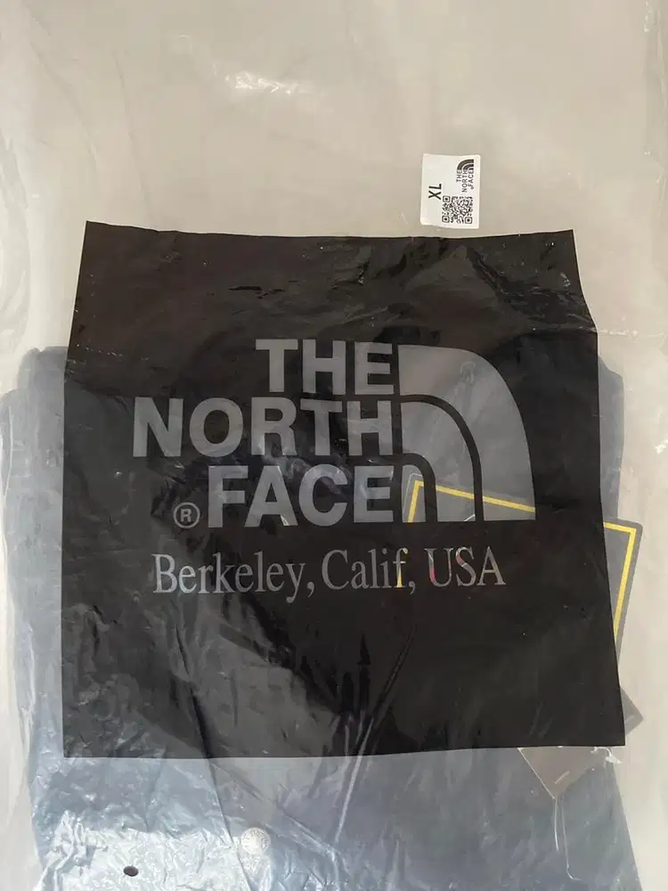 Jaket winter the north face