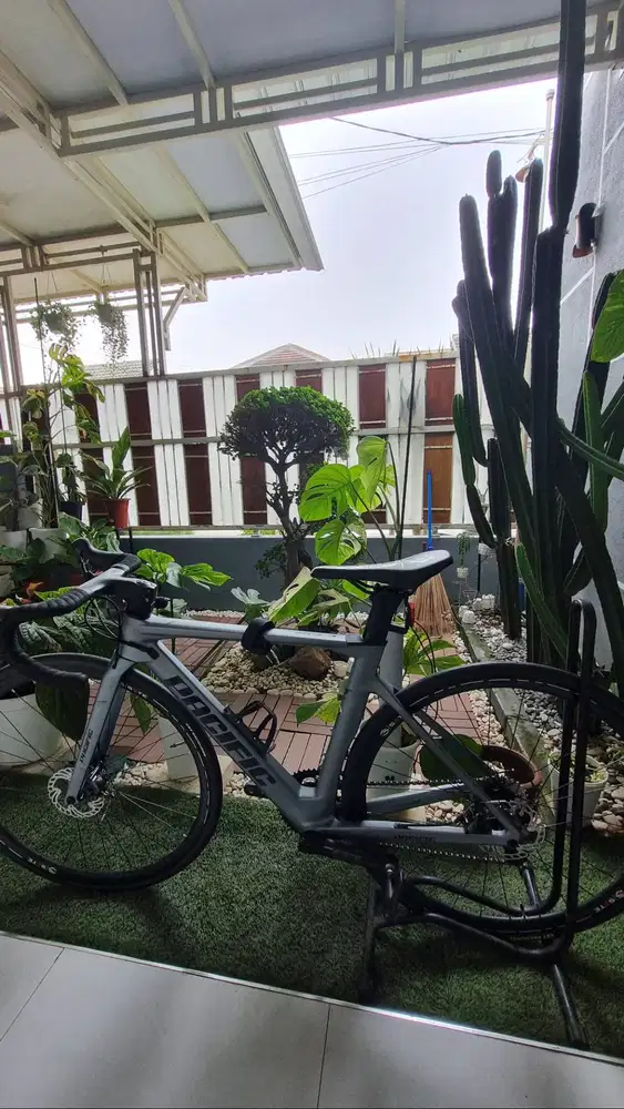 Roadbike Carbon Pacific Primum 3.5 upgrade likenew tanpa lecet