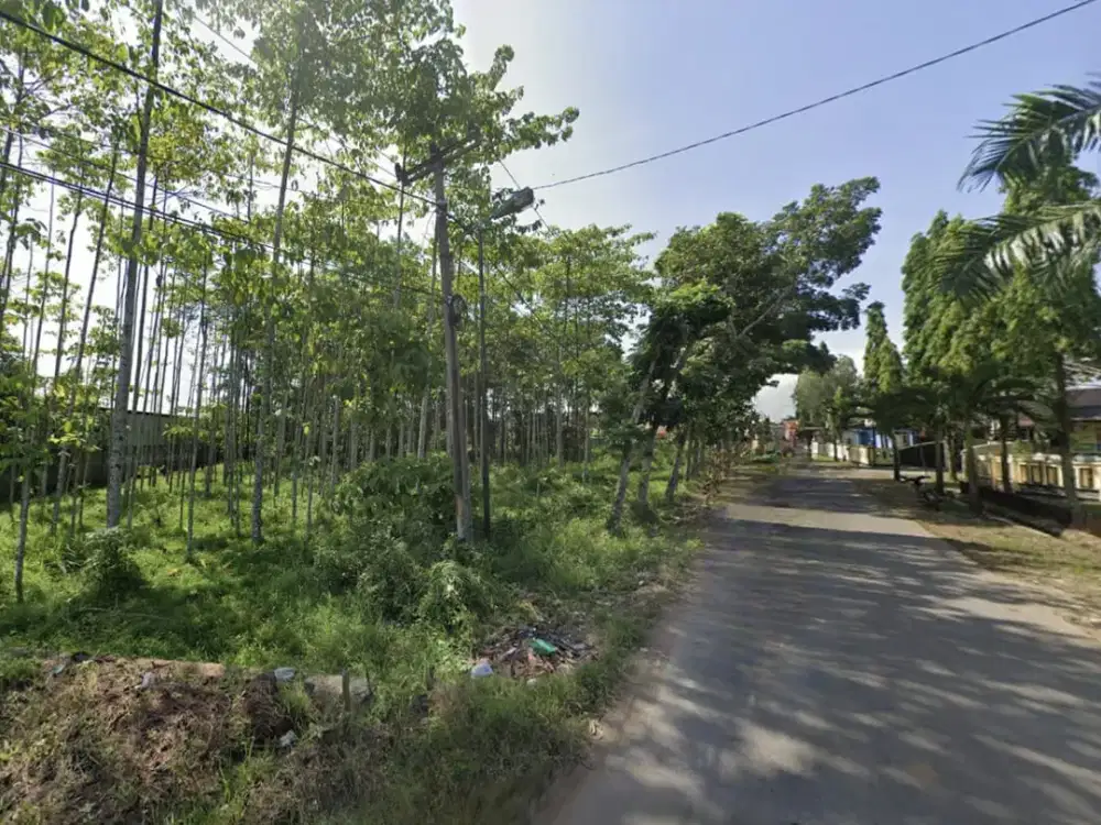 Dijual Tanah Dalam Zona Industri Di Desa Padaasih Subang