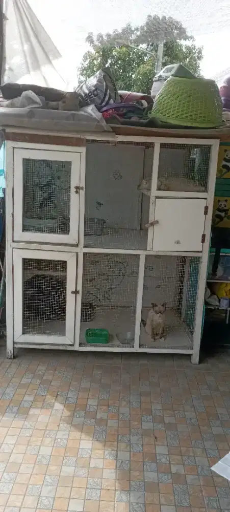 Kandang kucing jumbo