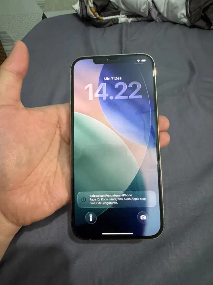 iphone 12 pro max 256GB gold