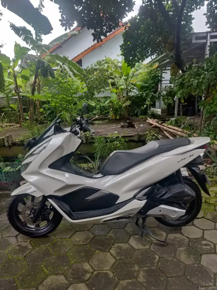 Pcx 150 tahun 2019