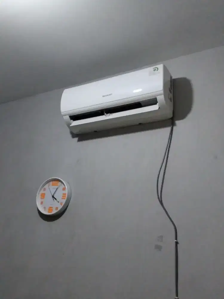 AC Sharp 1/2pk second