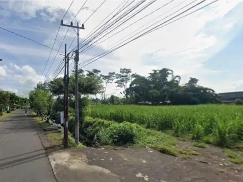 Dijual Tanah Poros Saptorenggo Pakis – 50 Meter dari Jalan Provinsi, SHM, 3.000 m²”
