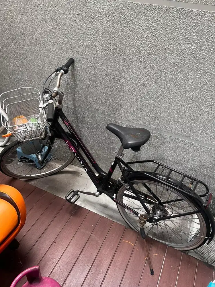 Polygon sepeda keranjang lovina 26