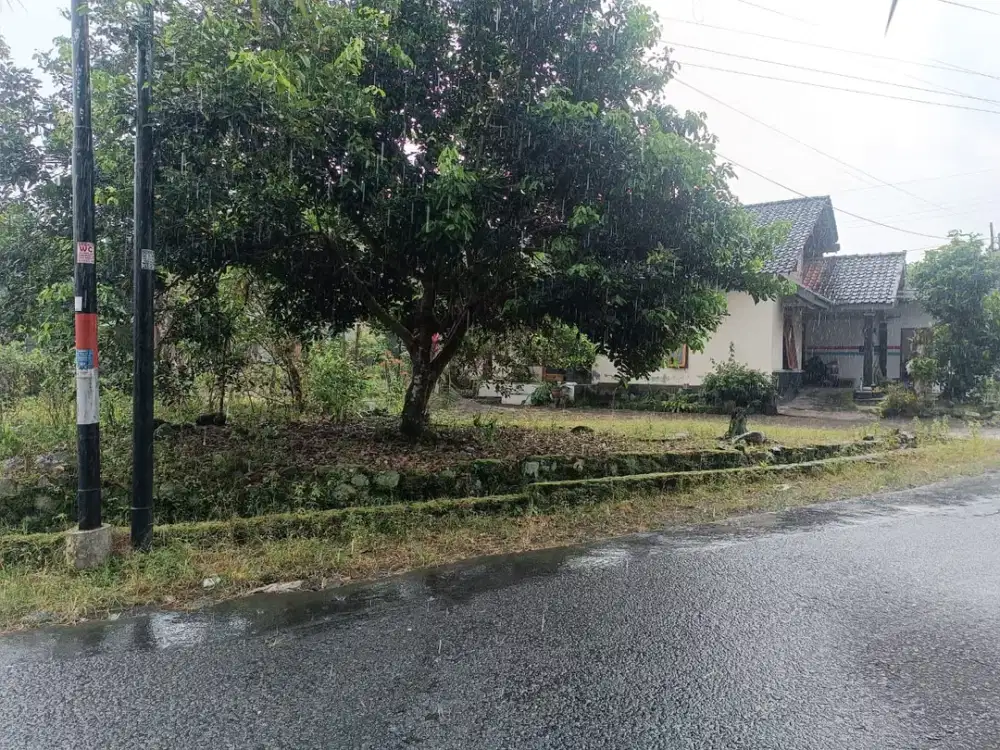 Lahan Pekarangan di Kawasan Premium Hanya 2,3 Jt-an!!