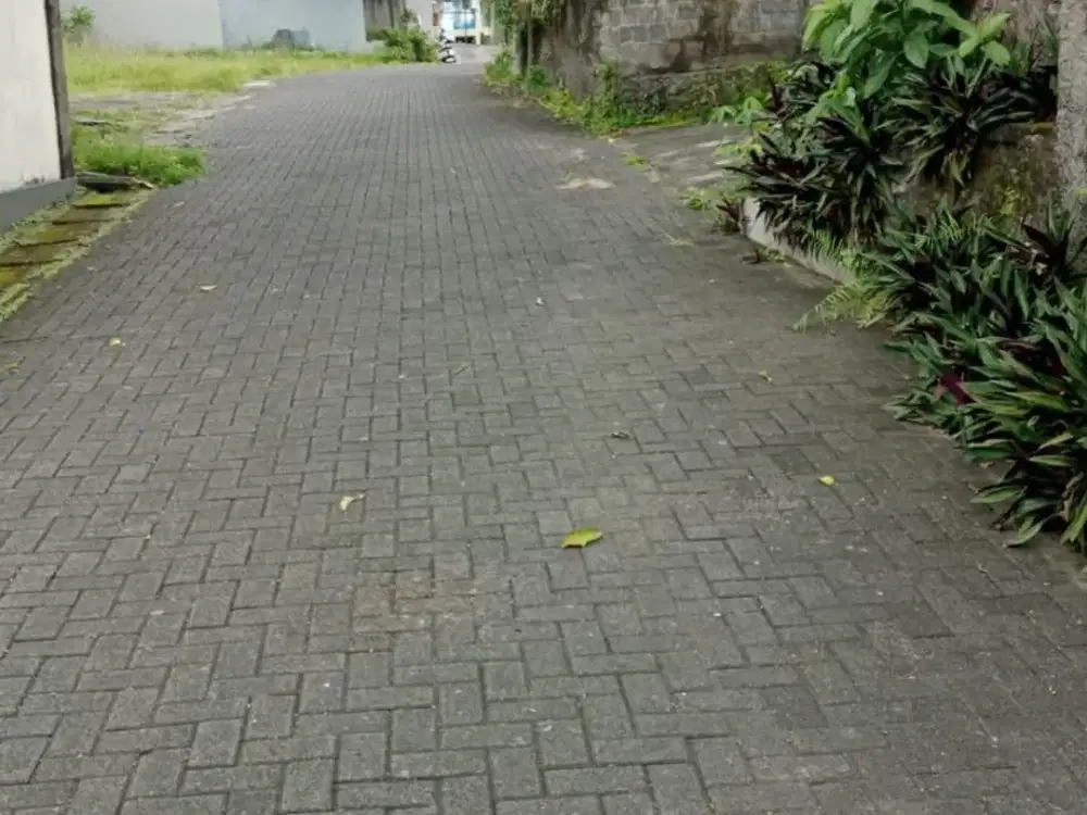 Dijual Tanah Area Perumahn Lokasi Di Jln. Cokroaminoto Ubung Denpasar Bali. Dekat Ke Gatsu Barat, Cargo Permai.