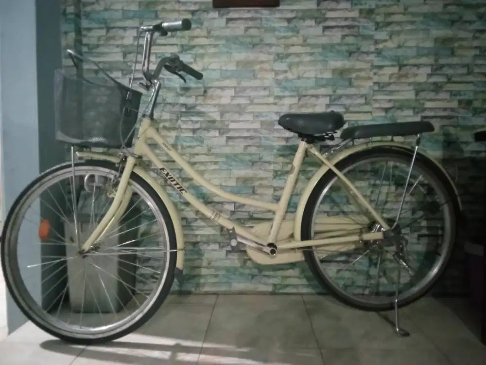 Sepeda Dewasa Keranjang