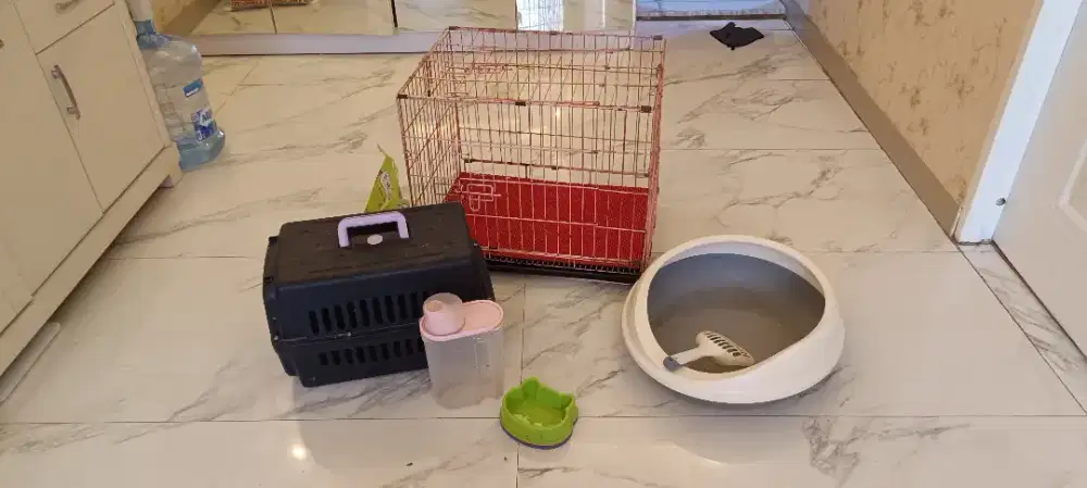 Dijual perlengkapan kucing