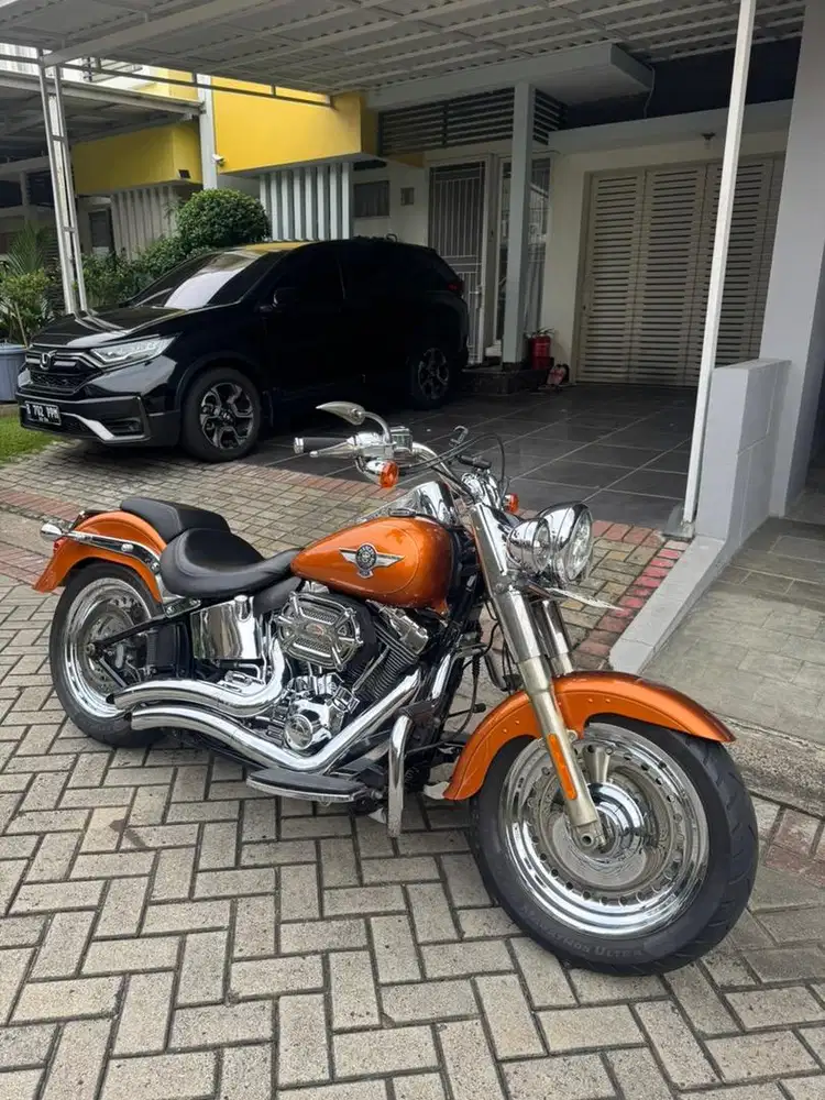 FATBOY - FULL MODIF - SPECIAL COLOUR 2014