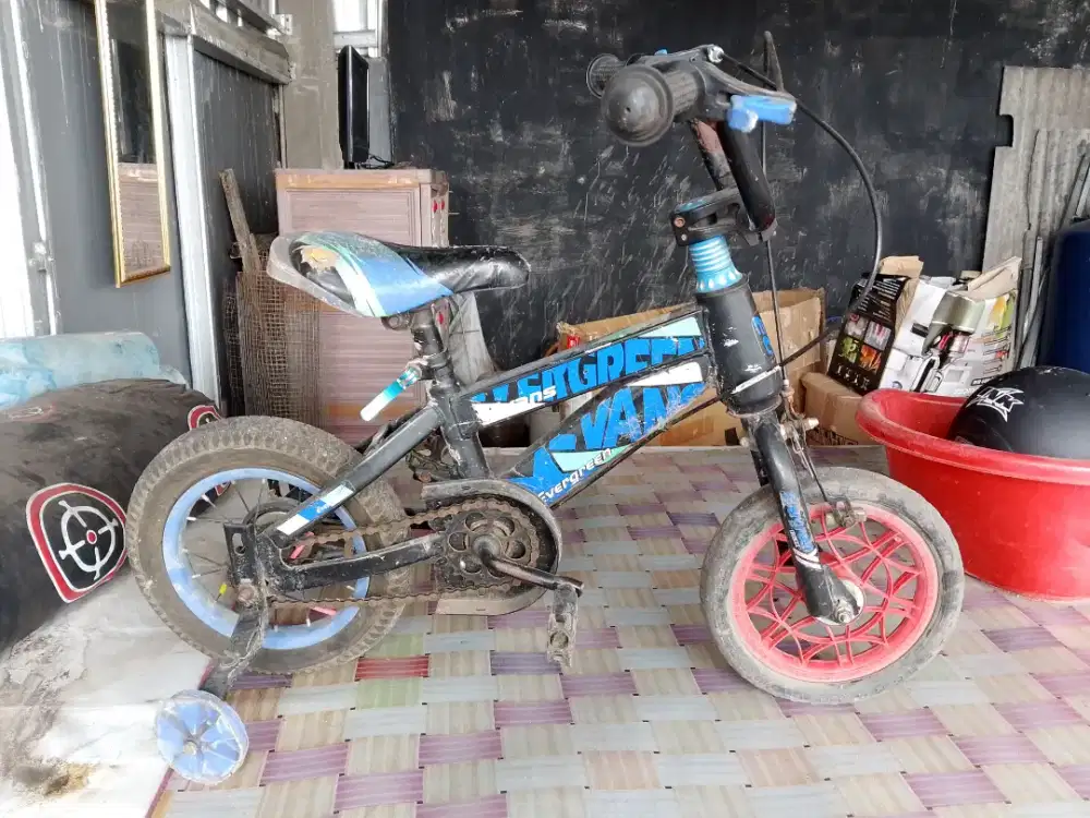 Sepeda evergreen ukuran 12