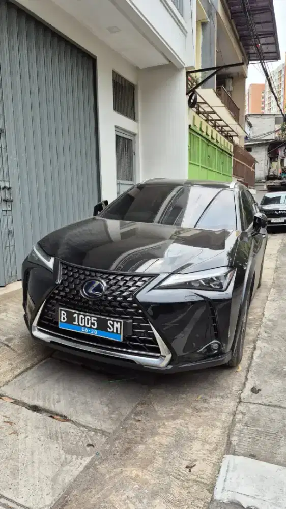 Lexus ux300e ev 2022 mulus