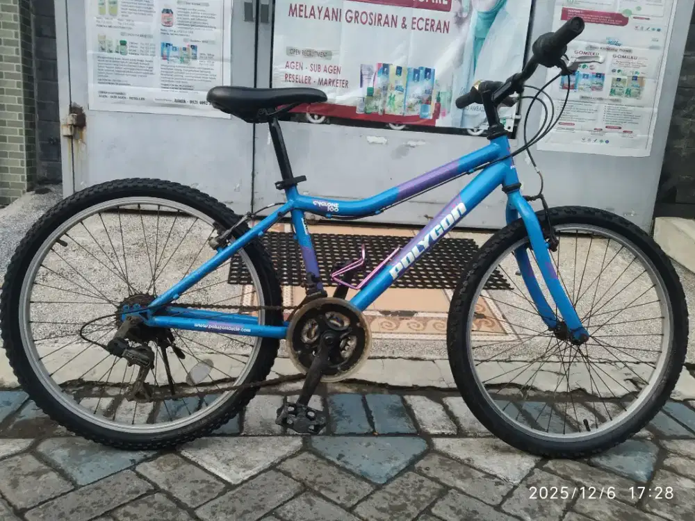 Polygon cyclone 100 ukuran 24 inc