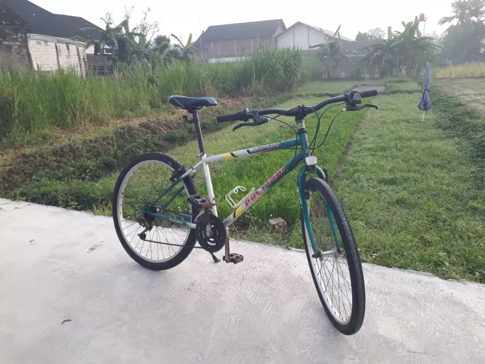 sepeda polygon montana vintage