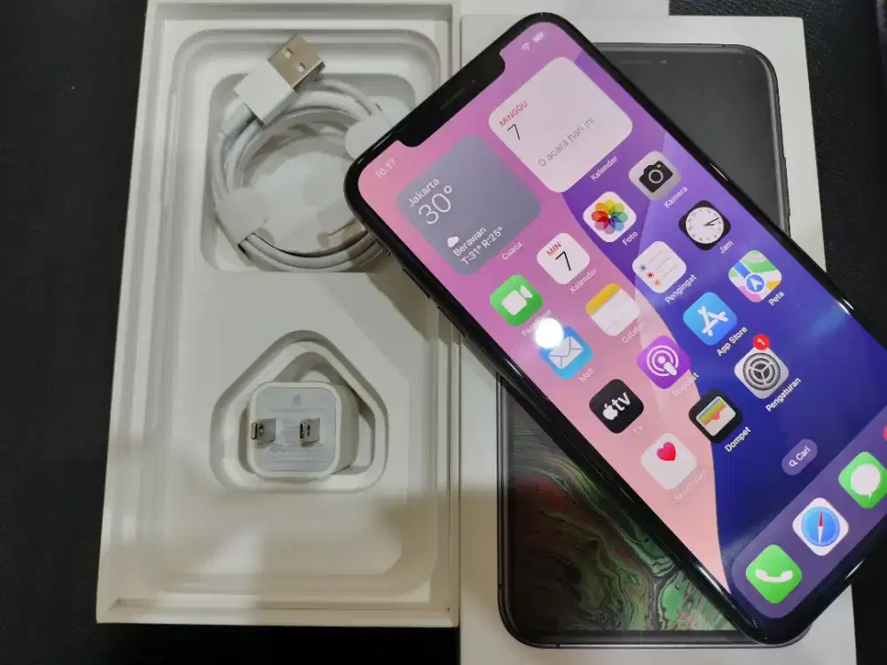 iphone xs max 256gb inter