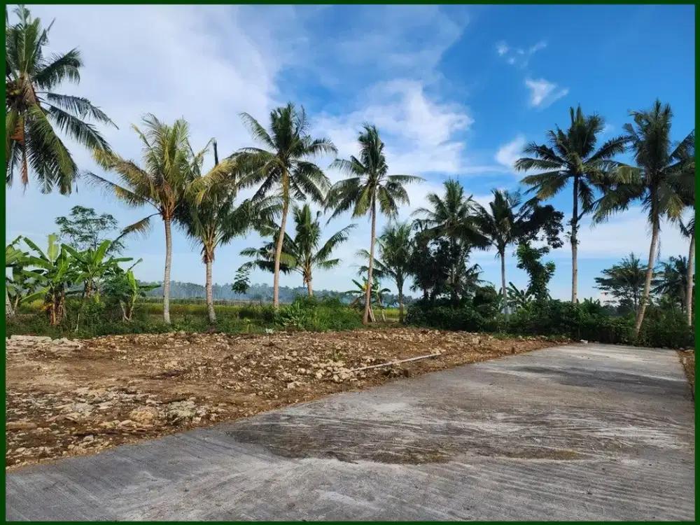 Jual Tanah Jogja Pengasih Kulon Progo Dekat Bandara YIA, Untuk Rumah