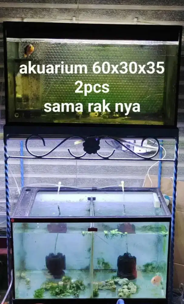 akuarium 60x30x35 2pcs sama rak nya sale
