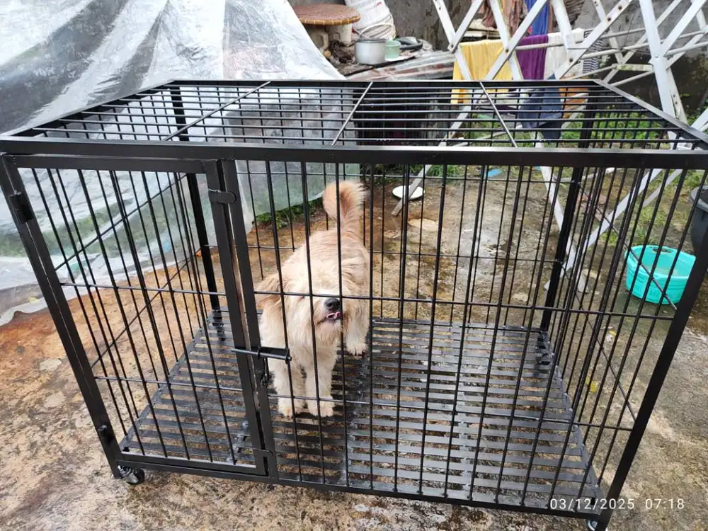 Kandang anjing besar