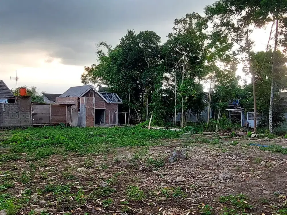 Lahan Strategis di Lingkungan Tenang Mulai 1,9 Jt/m2 di Sleman