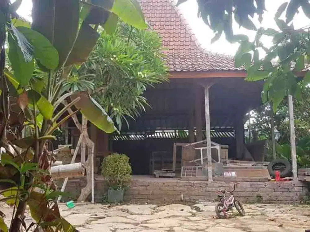 kontrakan tanah sanur jalan hang tua 7are