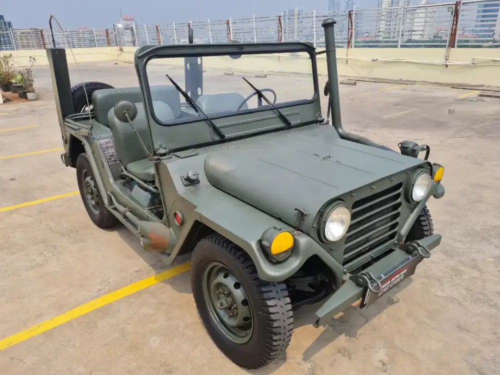 Willys Ultility Mt good condition 1965 (Antik)