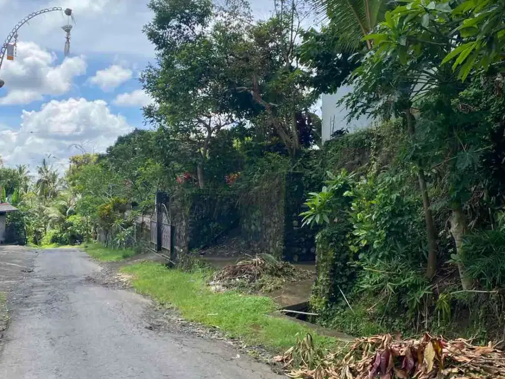 jual tanah penebel tabanan 5are