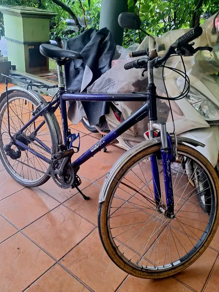 SEPEDA STANK LAKI-LAKI