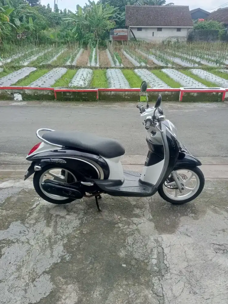 Honda Scoopy Tahun 2011 Terawat