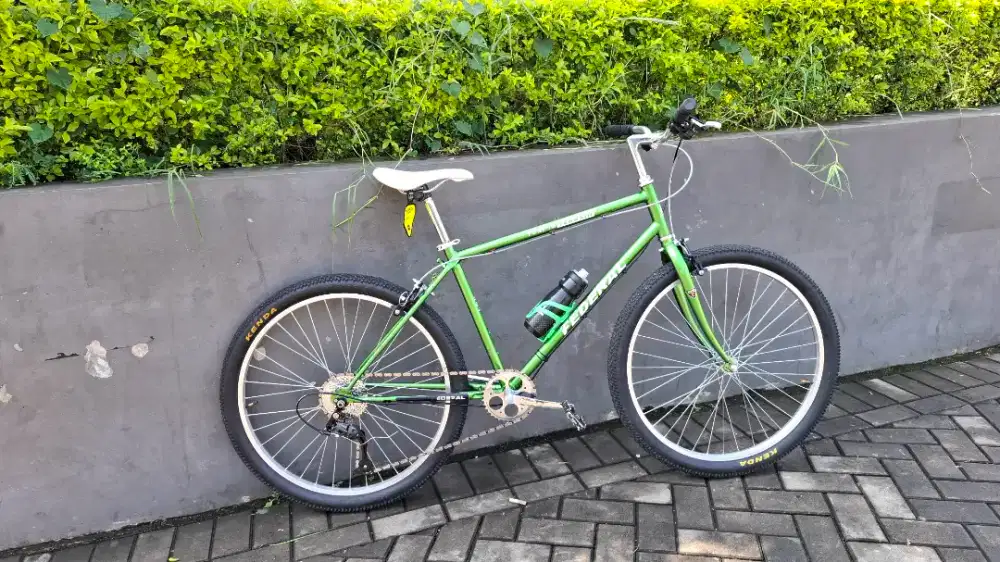 Sepeda federal commuter bike