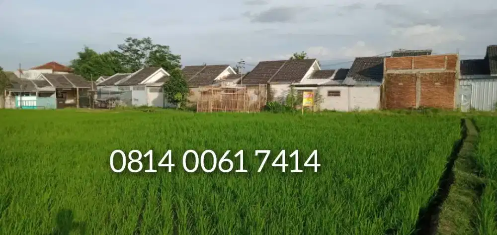 Dijual tanah sawah desa Singajaya dekat perumahan Parahyangan asri