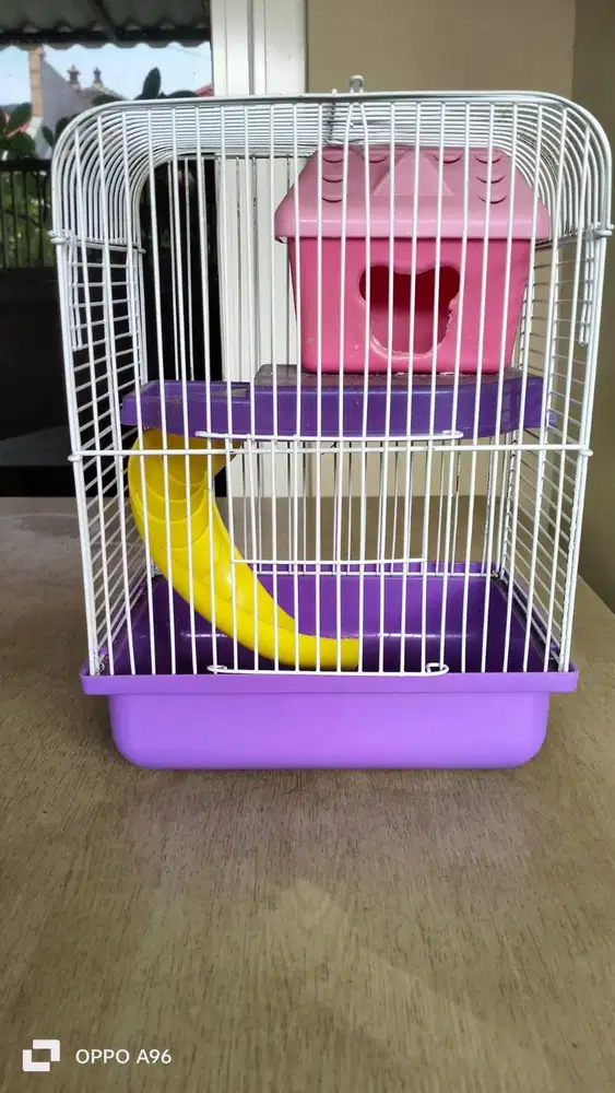 Kandang Hamster Warna Ungu